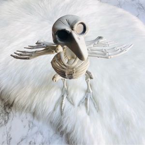 Halloween Skeleton Crow Bird